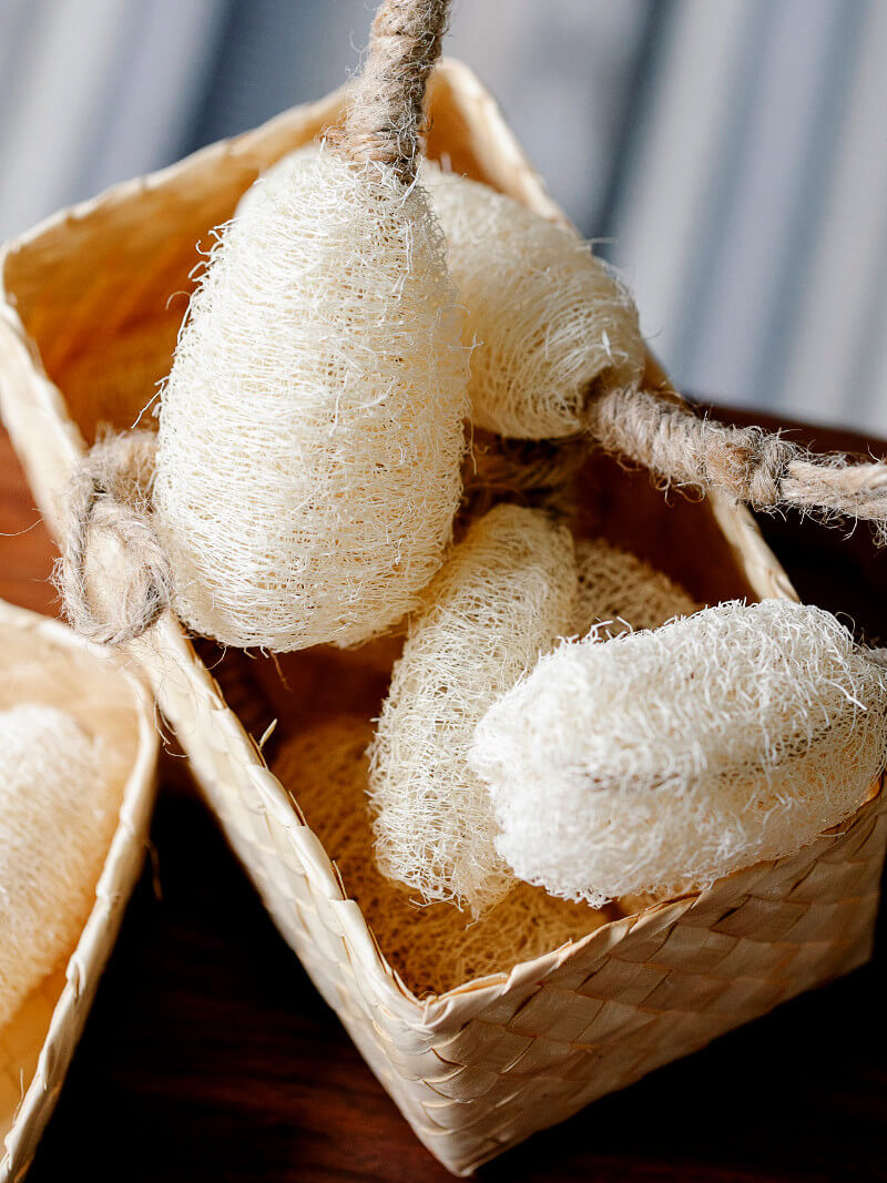 Natural Loofah Sponges